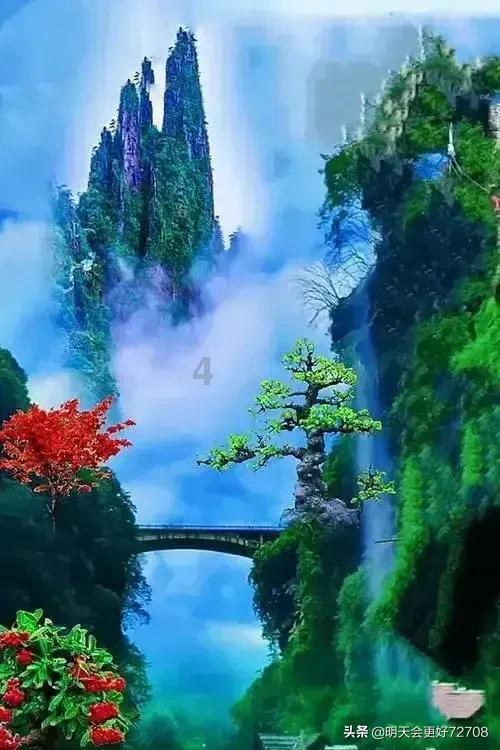 可爱的小考拉