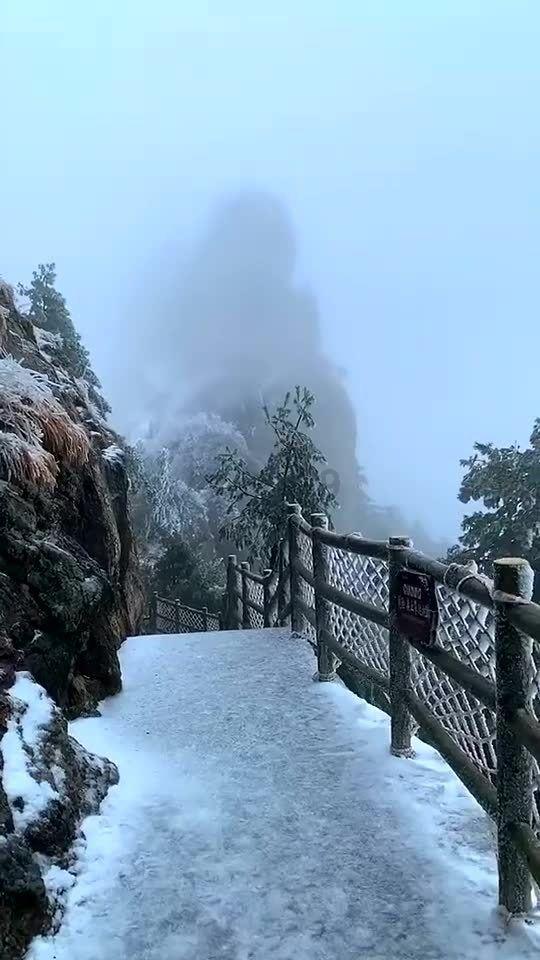栅栏迷宫
