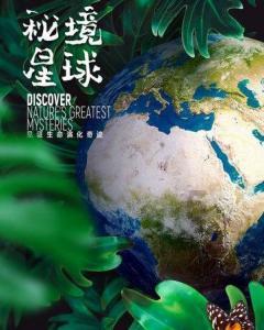 特种突击聪明的顺溜