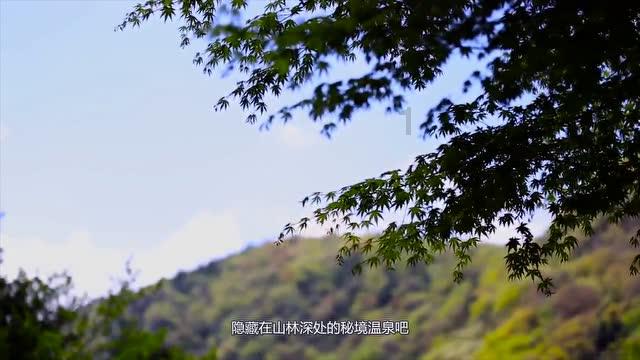 发生火灾应沉着应对 积极自救
