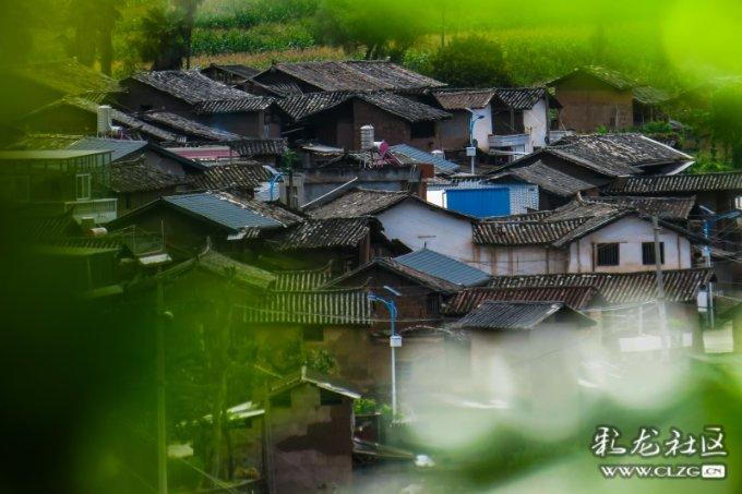 逃离奇幻仙境