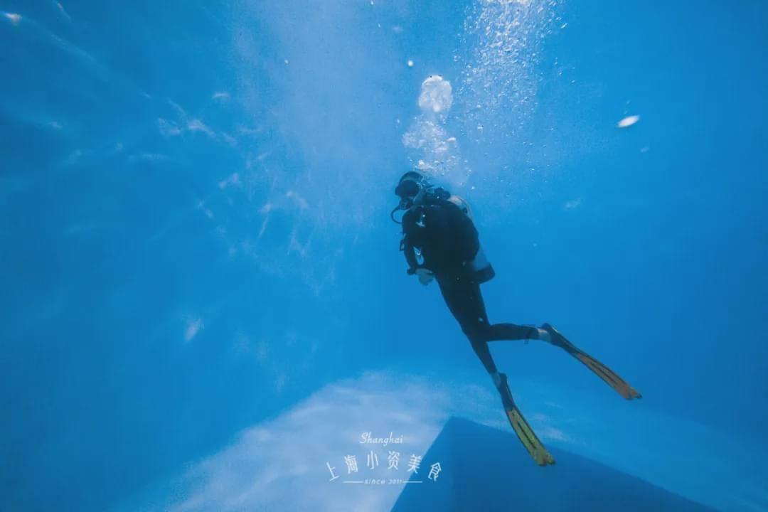 舞熊森林逃生
