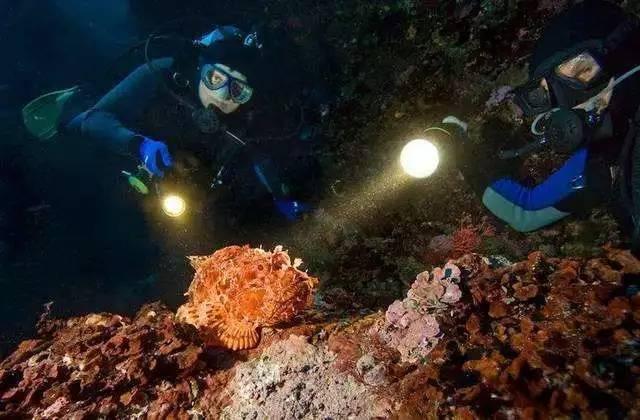 首台套全海况百千瓦气动式波浪能发电装备下水
