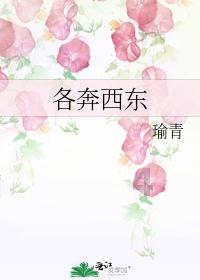 次元喵