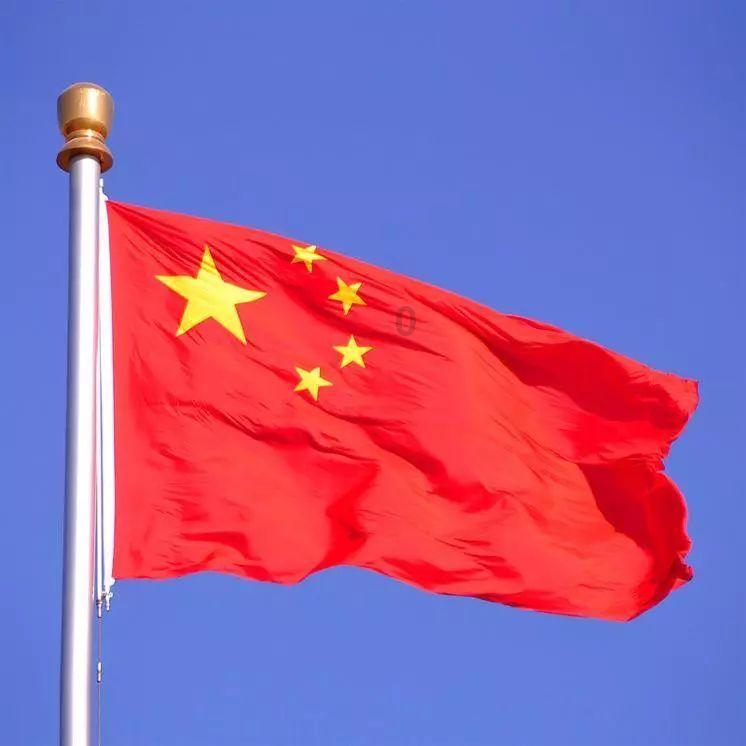 逃离金色蜜蜂森林