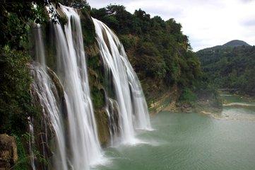 春雨直播app