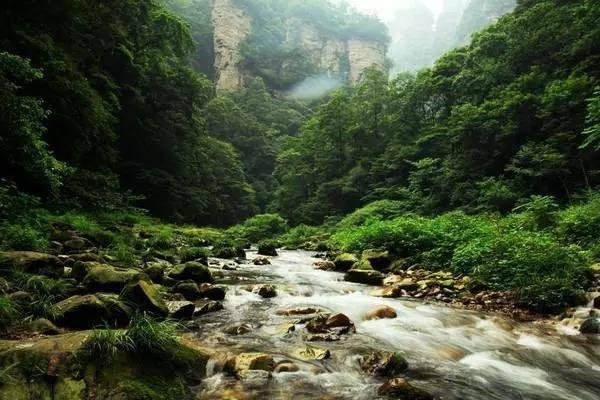27载“寻亲记”终获团圆，饶浩宜父子在湖北咸宁相认