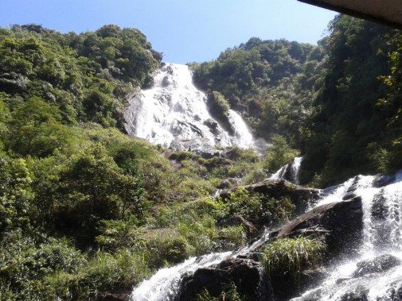 新春走基层|返乡大学生“唱响”治沙致富的青春之歌