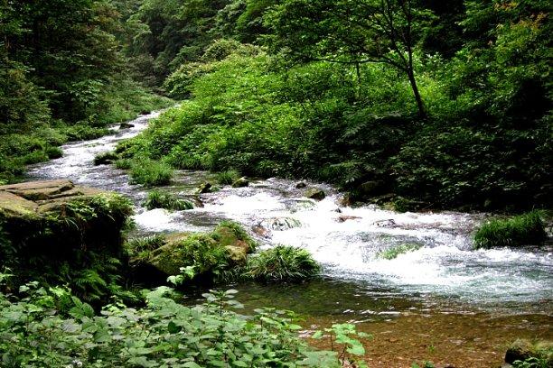 清凉夏日冰淇淋