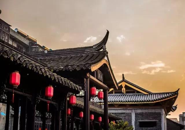 动物帮帮忙保卫家园