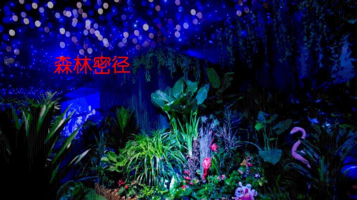 美丽皇后逃脱